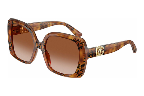 solbrille Dolce & Gabbana DG4475 338013