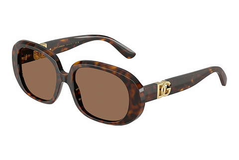 solbrille Dolce & Gabbana DG4476 502/73