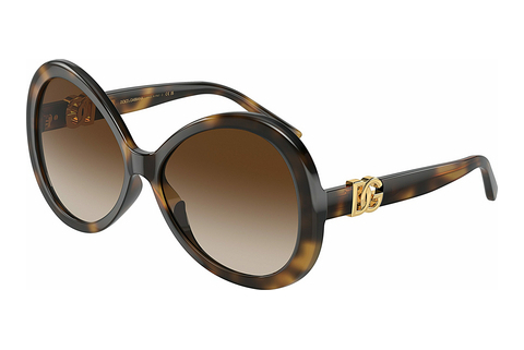 solbrille Dolce & Gabbana DG6194U 502/13