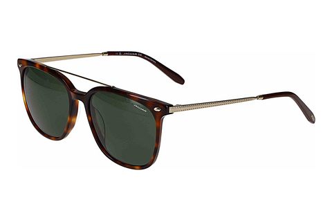solbrille Jaguar 37283 4982