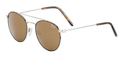 solbrille Jaguar 37455 1100