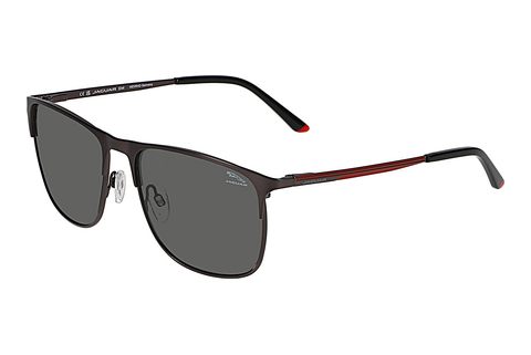 solbrille Jaguar 37504 4200
