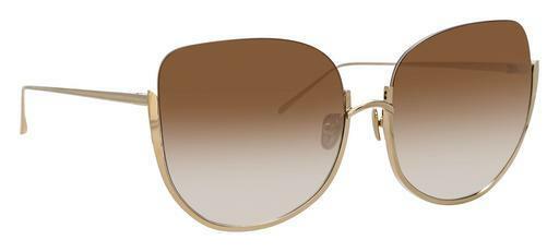 solbrille Linda Farrow LFL847 C6