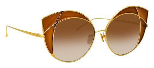 solbrille Linda Farrow LFL856 C2