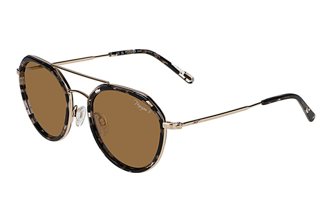solbrille Morgan 207374 8200