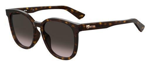 solbrille Moschino MOS074/F/S 086/HA
