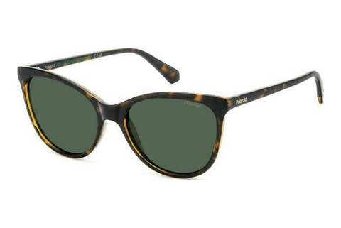 solbrille Polaroid PLD 4179/S 086/UC