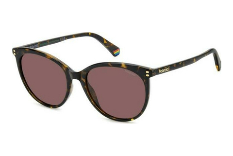 solbrille Polaroid PLD 6231/S 086/KL