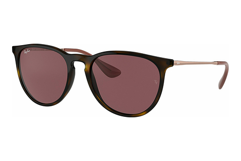 solbrille Ray-Ban ERIKA (RB4171 639175)