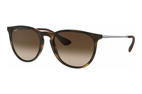 solbrille Ray-Ban ERIKA (RB4171 865/13)