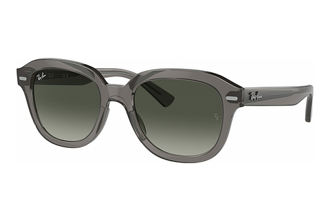 solbrille Ray-Ban ERIK (RB4398 667571)