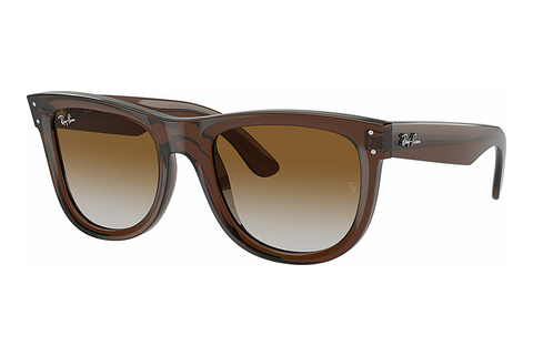 solbrille Ray-Ban WAYFARER REVERSE (RBR0502S 6709CB)