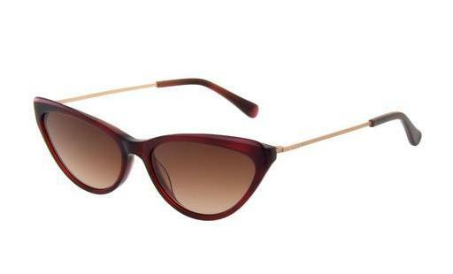 solbrille Ted Baker 1569 249
