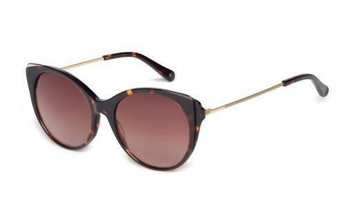 solbrille Ted Baker 1589 179