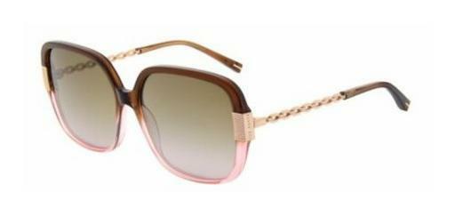 solbrille Ted Baker 1616 268