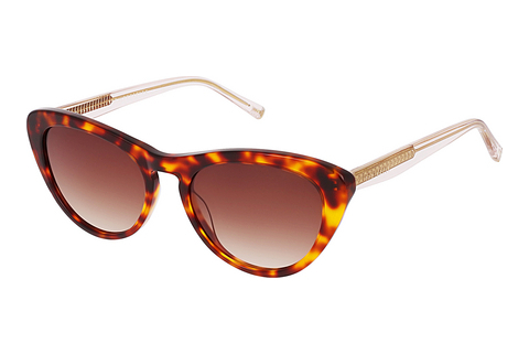 solbrille Ted Baker 1690 100