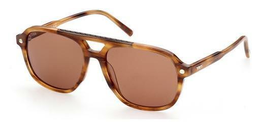 solbrille Tod's TO0307 56E