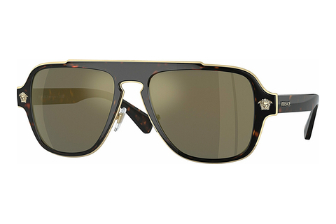 solbrille Versace VE2199 12524T