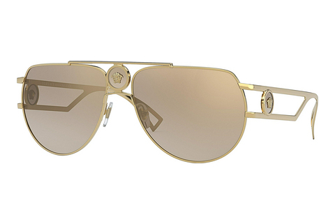 solbrille Versace VE2225 10027I