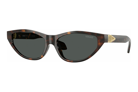 solbrille Versace VE4491U 108/87