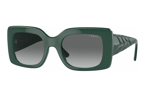 solbrille Vogue Eyewear VO5481S 305011