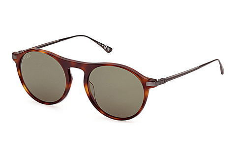 solbrille Web Eyewear WE0346 52N