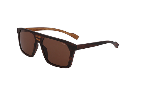 solbrille ZWO Paradehengst 60