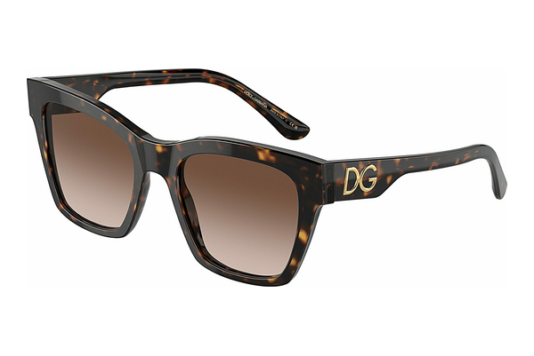 solbrille Dolce & Gabbana DG4384 502/13