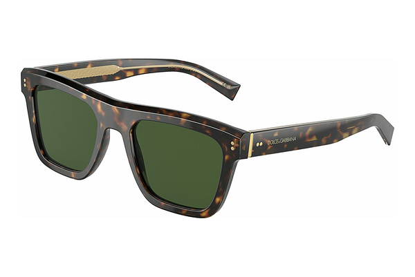 solbrille Dolce & Gabbana DG4420 502/71