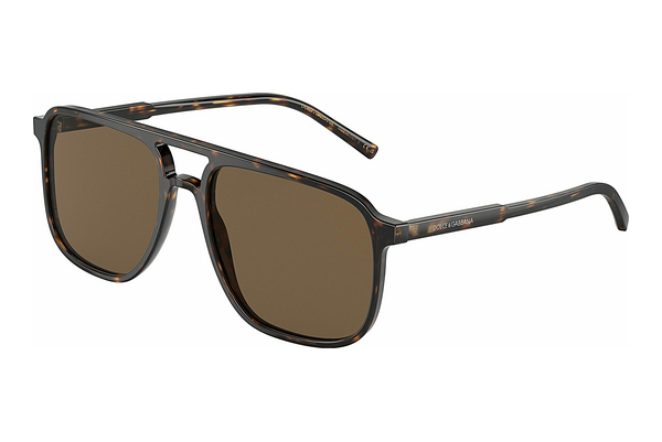 solbrille Dolce & Gabbana DG4423 502/73