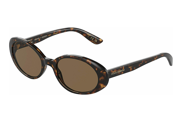 solbrille Dolce & Gabbana DG4443 502/73