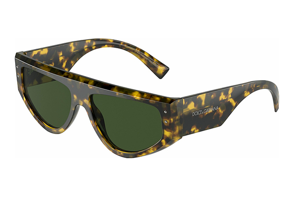 solbrille Dolce & Gabbana DG4461 343371