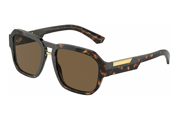 solbrille Dolce & Gabbana DG4464 502/73