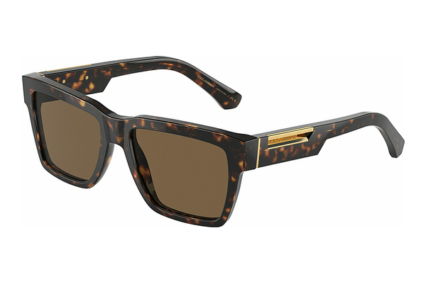 solbrille Dolce & Gabbana DG4465 502/73