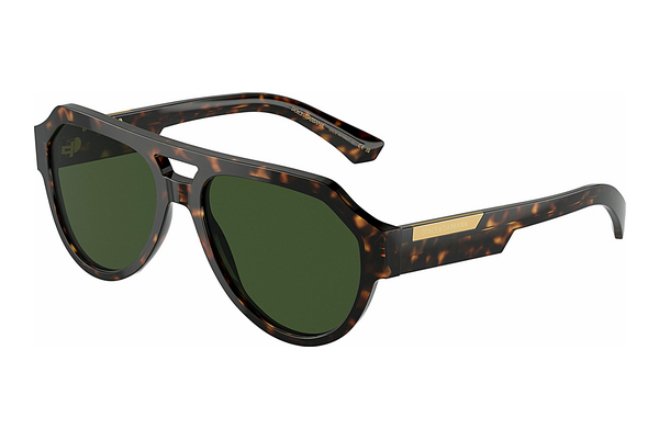 solbrille Dolce & Gabbana DG4466 502/71