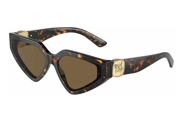 solbrille Dolce & Gabbana DG4469 502/73