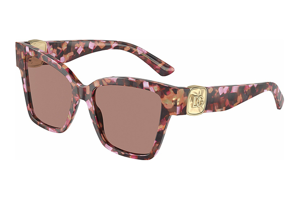 solbrille Dolce & Gabbana DG4470 344073