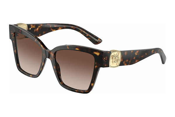 solbrille Dolce & Gabbana DG4470 502/13