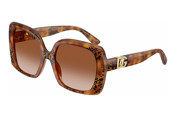 solbrille Dolce & Gabbana DG4475 338013