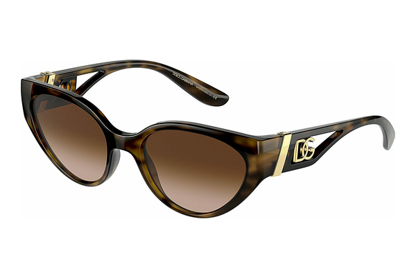 solbrille Dolce & Gabbana DG6146 502/13