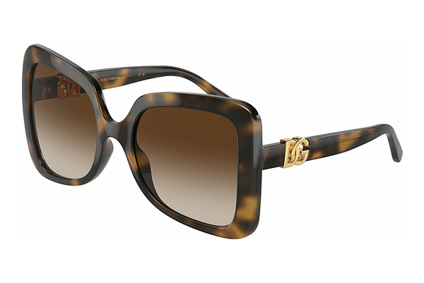 solbrille Dolce & Gabbana DG6193U 502/13