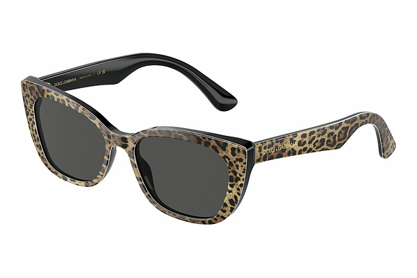 solbrille Dolce & Gabbana DX4427 316387