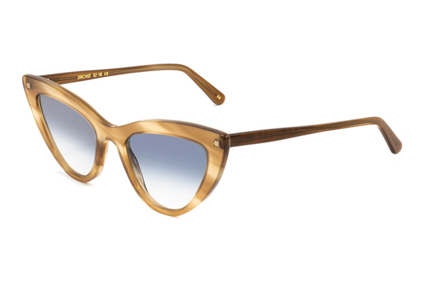 solbrille L.G.R ORCHID 64-3142