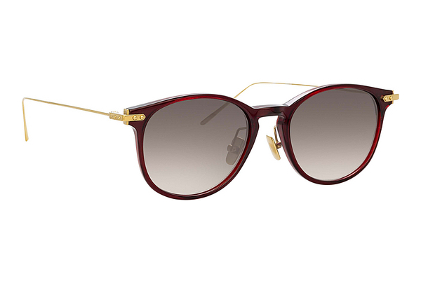 solbrille Linda Farrow LF01 C10