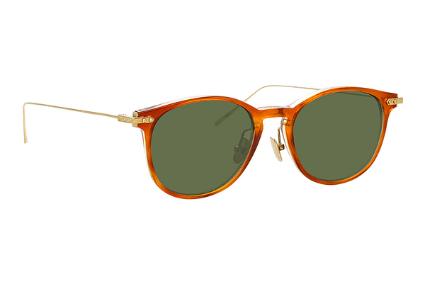 solbrille Linda Farrow LF01 C11