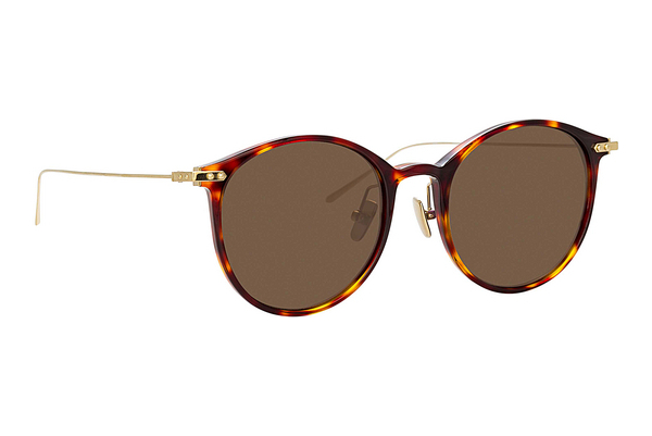 solbrille Linda Farrow LF02 C10