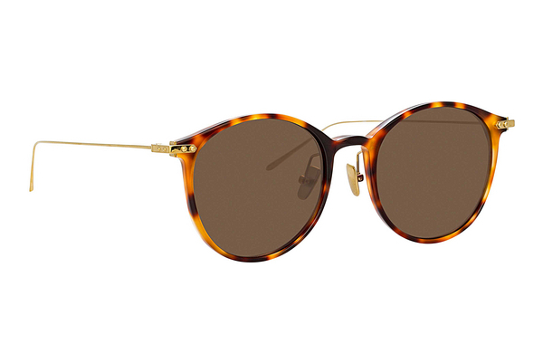 solbrille Linda Farrow LF02 C14