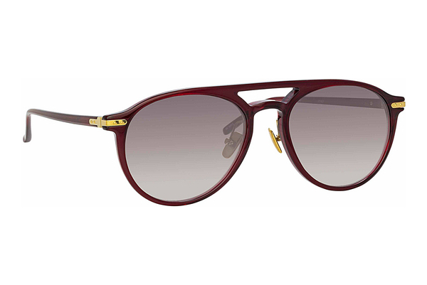 solbrille Linda Farrow LF23 C7