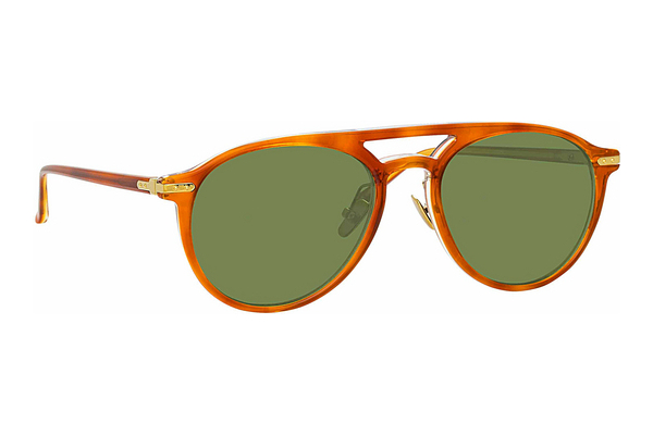 solbrille Linda Farrow LF23 C8