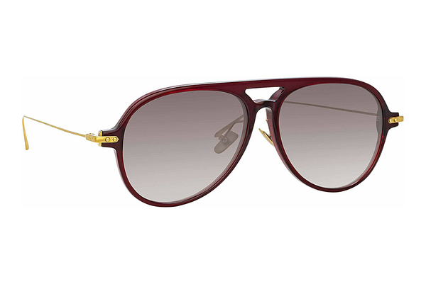 solbrille Linda Farrow LF24 C5